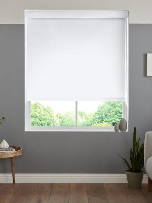 Lewis Polar Roller Blind