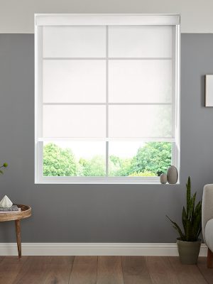 Darwin Snow Roller Blind
