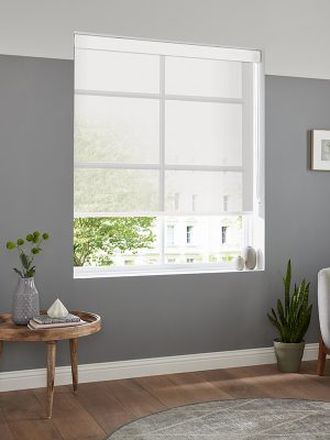 Darwin Snow Roller Blind