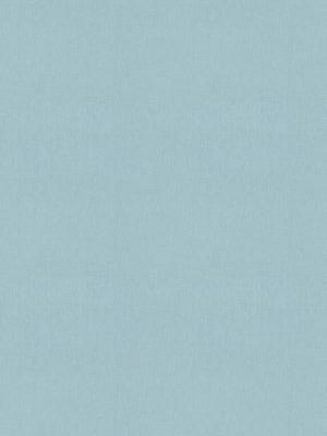 Camille Moonstone Roman Blind