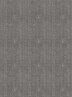 Camille Plum Roman Blind