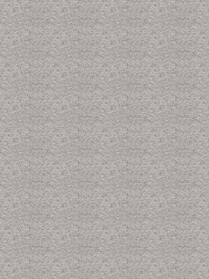 Mysa Dove Curtain
