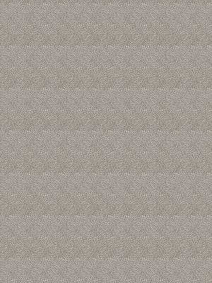 Corinne Otter Roman Blind