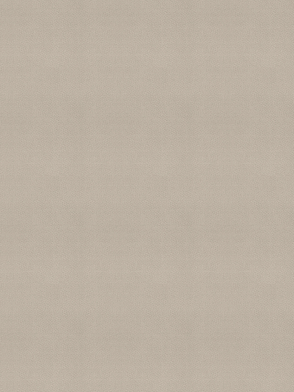 Sabrina Truffle Curtain Sabrina Truffle Curtain