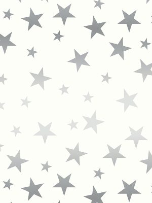 Twinkle Stars Silver Curtain