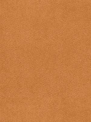 Cassandra Rust Curtain