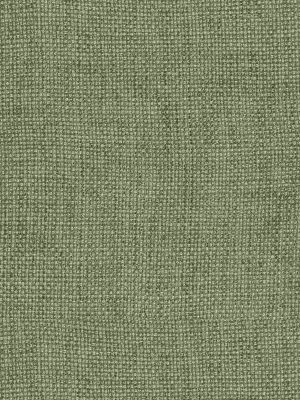 Clara Apple Curtain