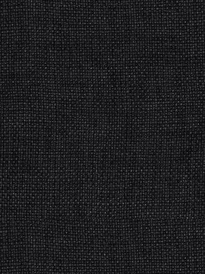 Clara Ebony Curtain
