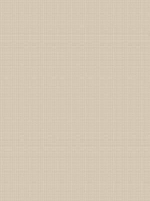 Lagom Champagne Curtain