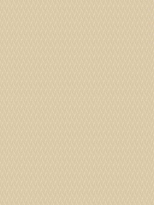 Reza Champagne Curtain