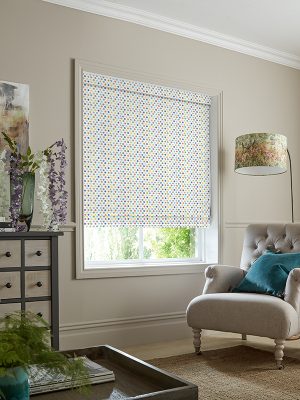 Dotty Primary Roman Blind