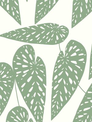 Tropics Foliage Roman Blind