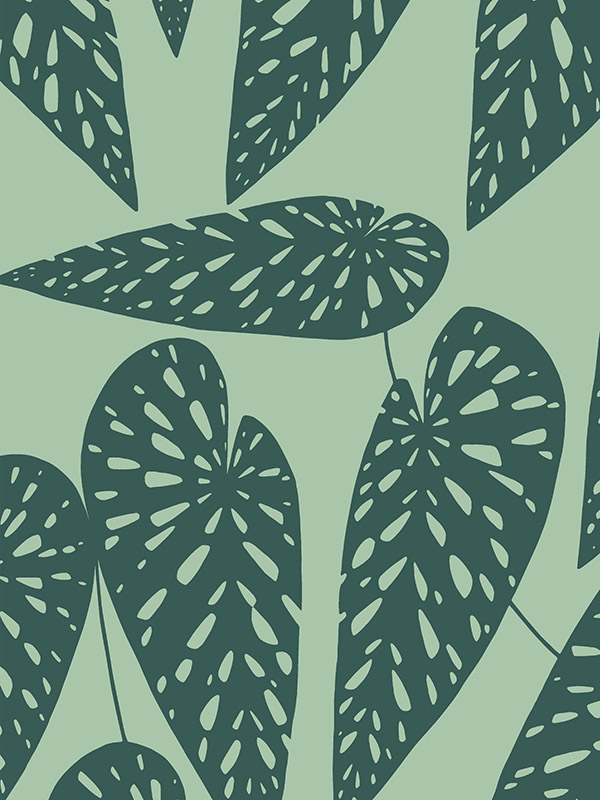 Tropics Jungle Curtain Tropics Jungle Curtain
