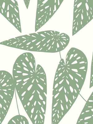 Tropics Foliage Roller blind