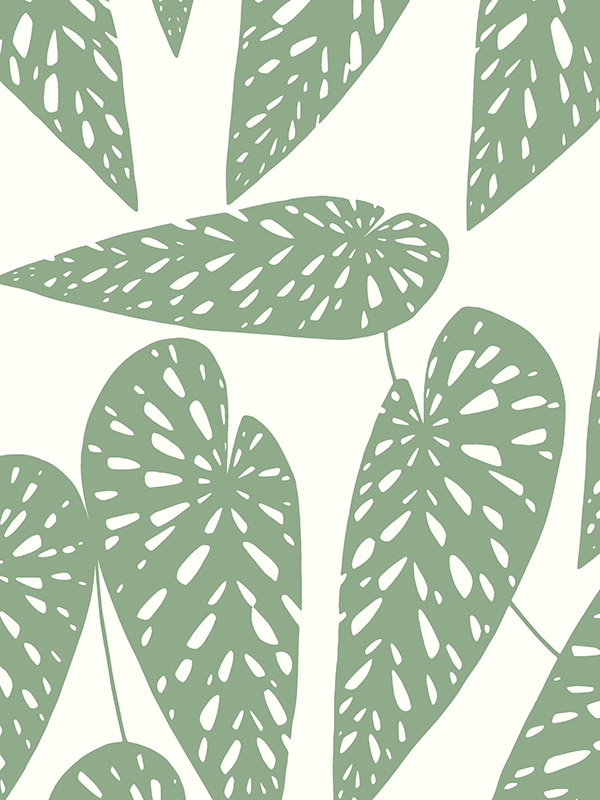Tropics Foliage Roller blind Tropics Foliage Roller blind