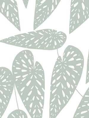 Tropics Shaded Roller blind