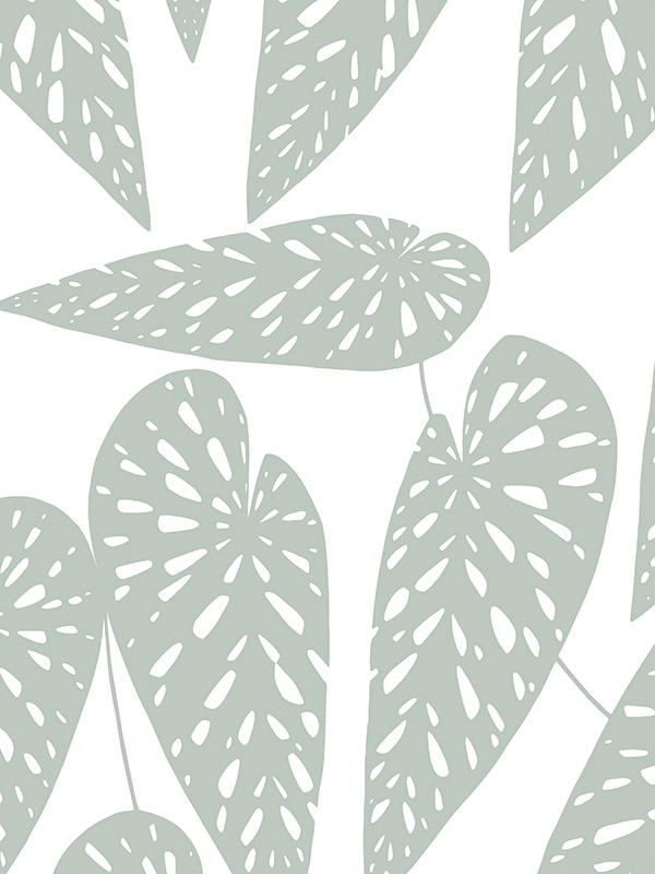 Tropics Shaded Roller blind Tropics Shaded Roller blind