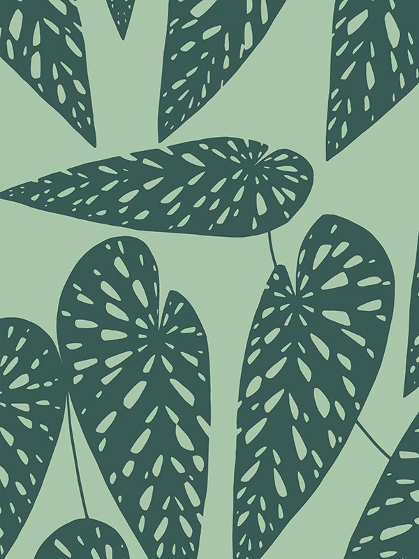 Tropics Jungle Roller blind Tropics Jungle Roller blind