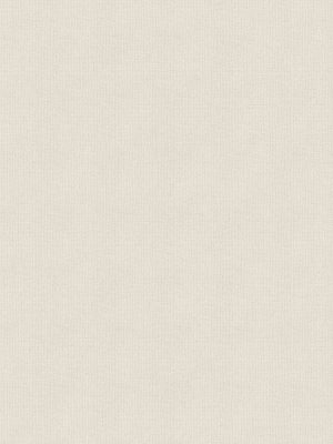 Orlando Beige Roller Blind