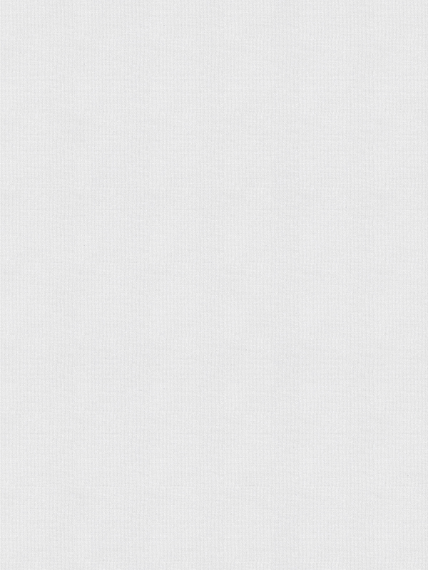 Rae White Roller Blind Rae White Roller Blind