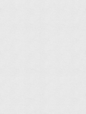 Perrin White Roller Blind