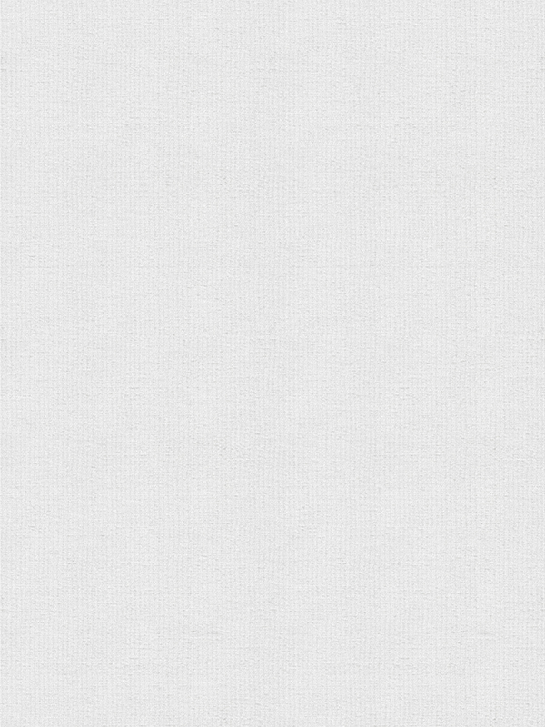 Perrin White Roller Blind Perrin White Roller Blind
