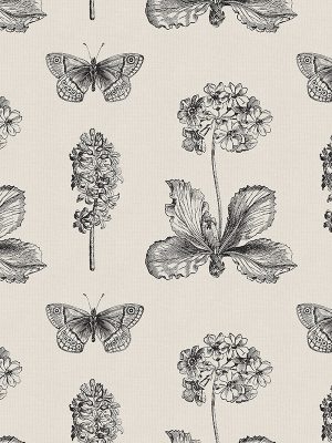 Varley Black Roller Blind