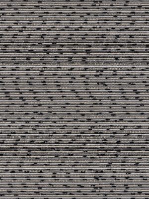 Danbury Monochrome Roller Blind