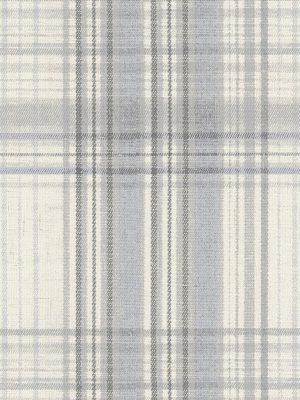 Austin Silver Roller Blind