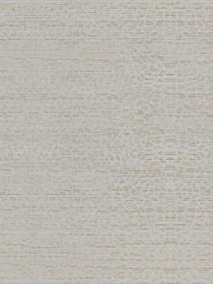 Zephyr Champagne Roller Blind