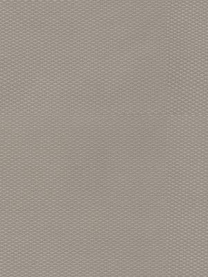 Ayres Stone Roller Blind