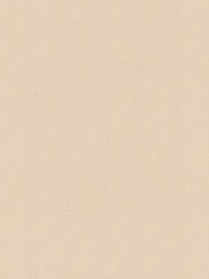 Rae Almond Roller Blind