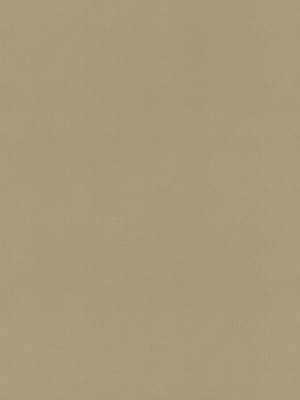 Rae Stone Roller Blind