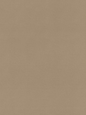 Rae Fawn Roller Blind