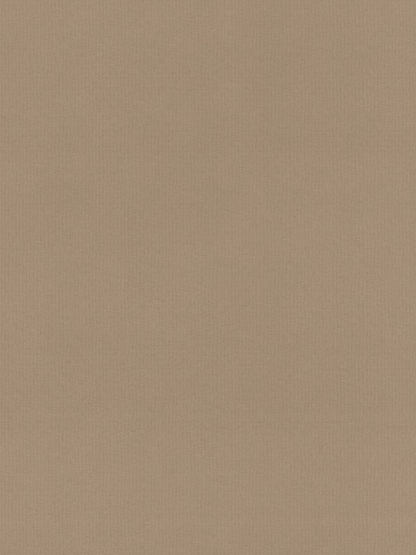 Rae Fawn Roller Blind Rae Fawn Roller Blind