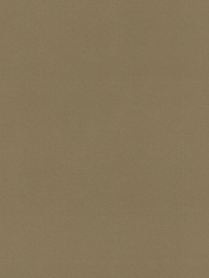 Rae Wheat Roller Blind
