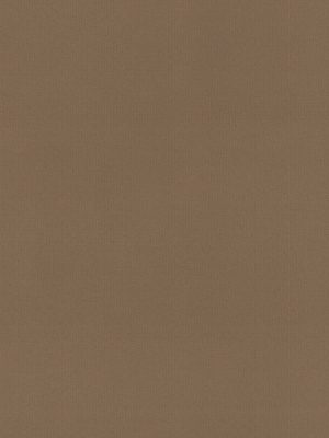 Rae Coco Roller Blind