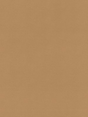 Rae Tan Roller Blind