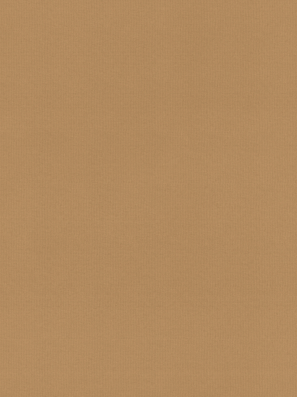 Rae Tan Roller Blind Rae Tan Roller Blind