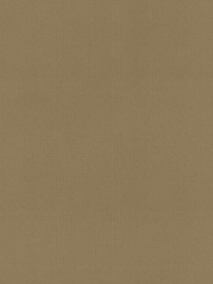 Rae Biscuit Roller Blind