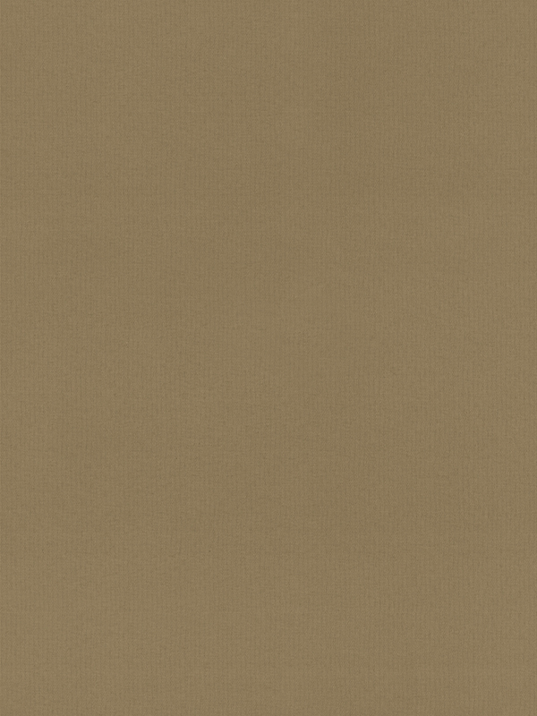 Rae Biscuit Roller Blind Rae Biscuit Roller Blind
