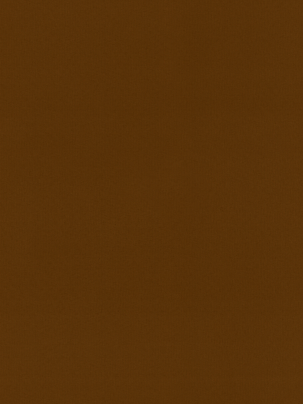 Rae Mocha Roller Blind Rae Mocha Roller Blind