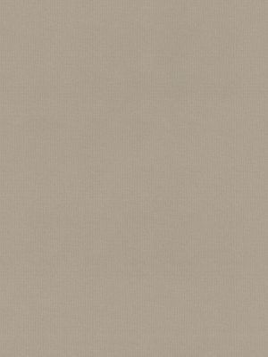 Rae Pebble Roller Blind