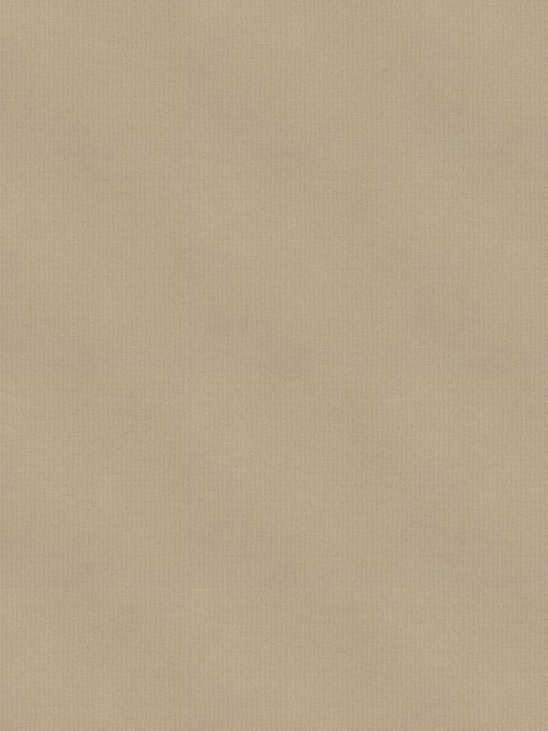 Rae Beige Roller Blind Rae Beige Roller Blind