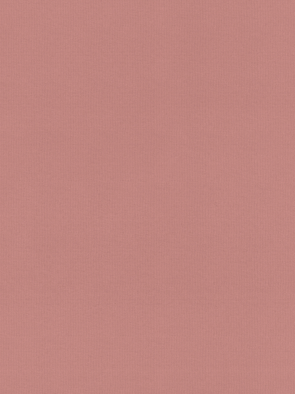 Rae Blush Roller Blind Rae Blush Roller Blind