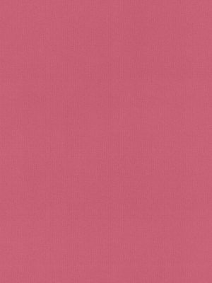 Rae Sorbet Roller Blind