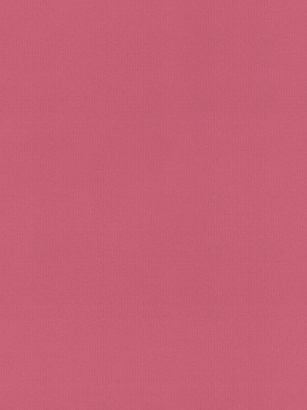 Rae Sorbet Roller Blind Rae Sorbet Roller Blind