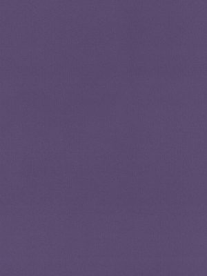 Rae Plum Roller Blind