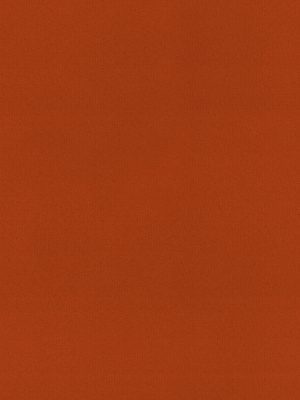 Rae Red Roller Blind