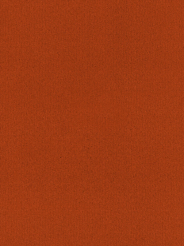 Rae Red Roller Blind Rae Red Roller Blind